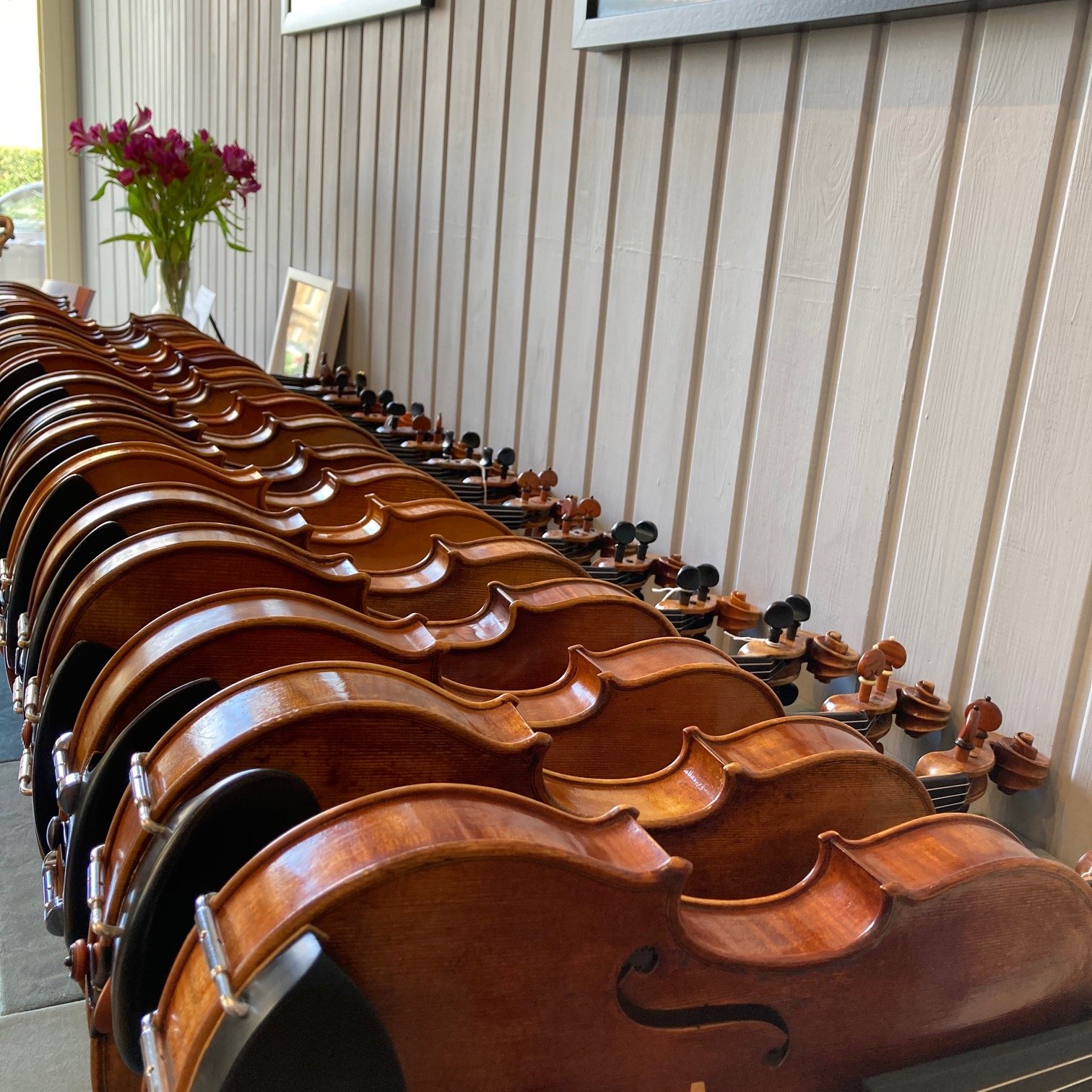 A selection of violins