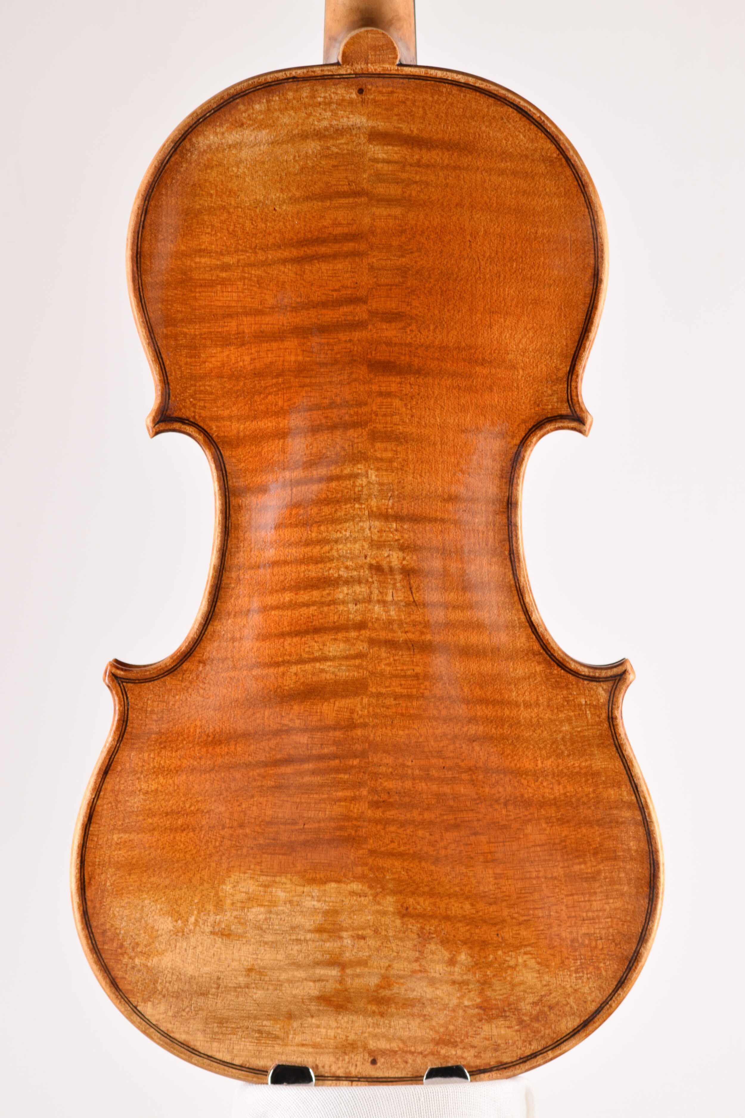 An image of the back of a vioin