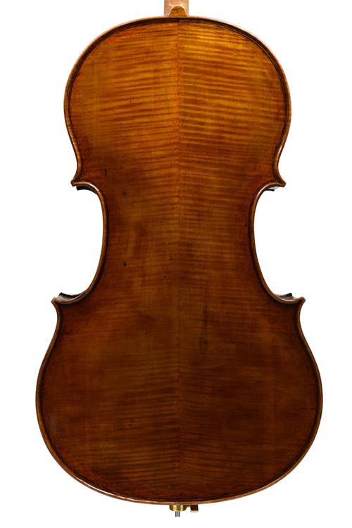 Back of English cello by Walter Whitaker. The v...