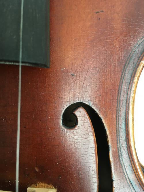 James Hardie violin close up of varnish