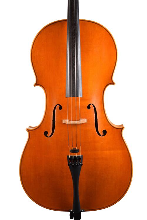 Nicola Zurlini fine Italian cello front
