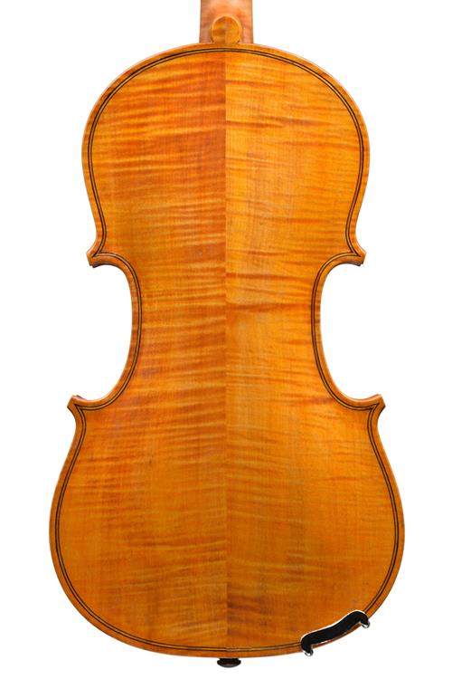 Scottish 5 string viol back with attractive hig...