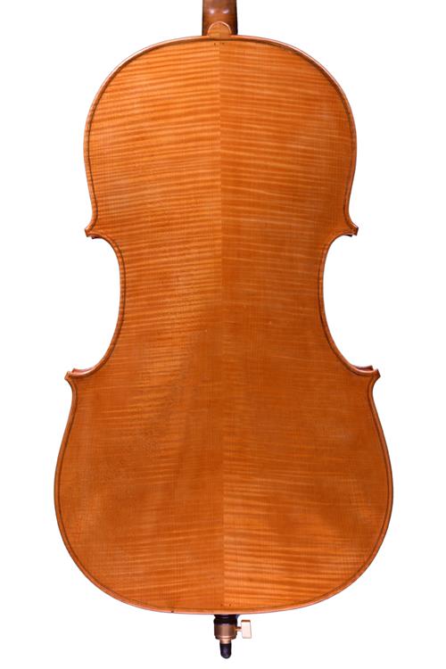 Theo Parmakis 2020 cello back