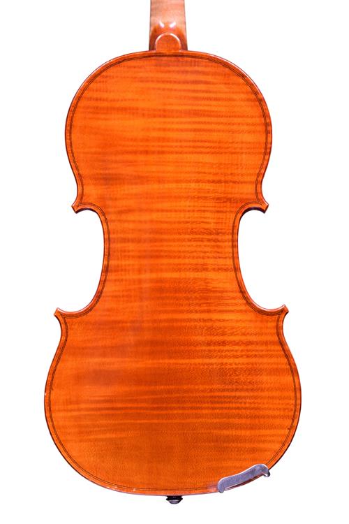 Goldsmith violin back