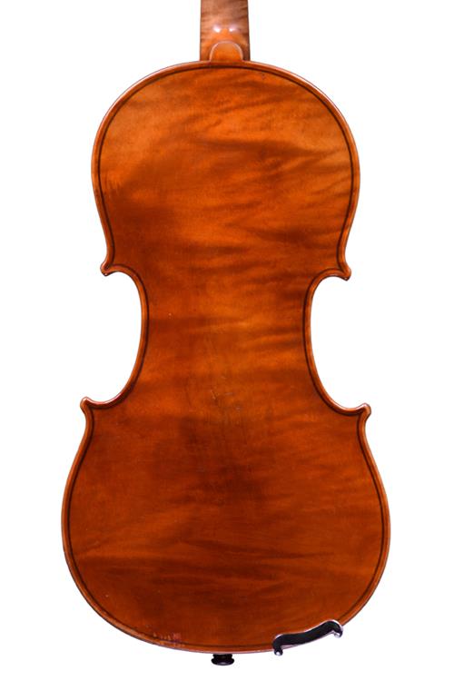 Schuster violin back 