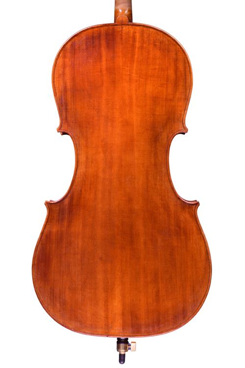 Theo Parmakis 2020 cello back