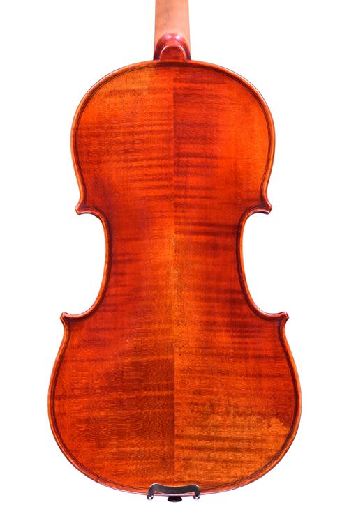 Roseneath violin back