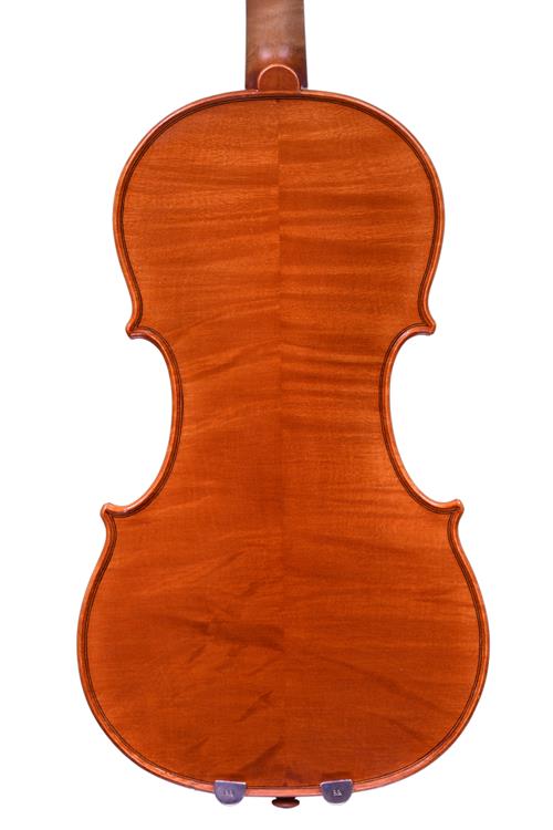 Eric Jackson violin back 