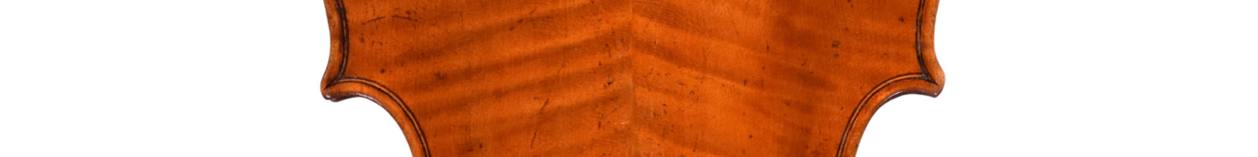 Violin for Perry and Wilkinson, Dublin, 1805